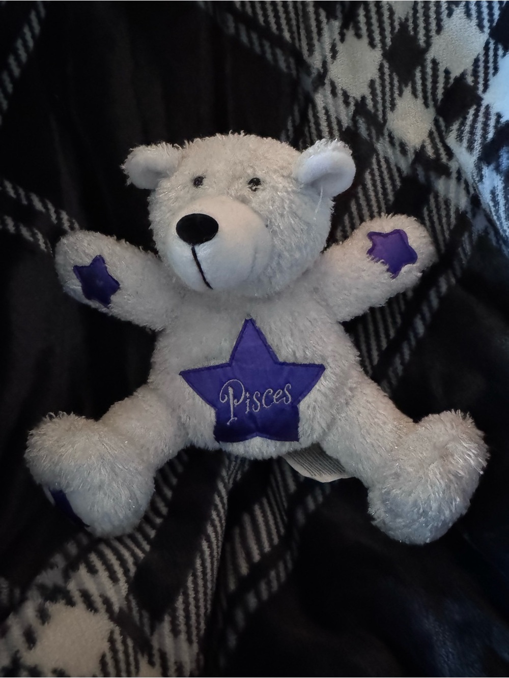 Carlton Cards White Plush Pisces Bear with Purple Star Appliqués